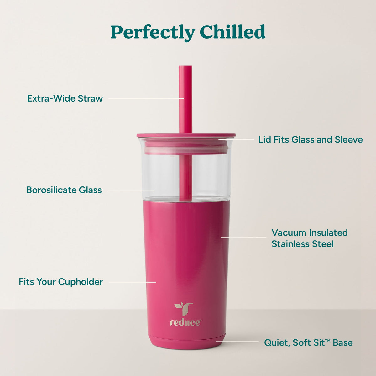 aspen-20-oz-g0 Aspen_Dragonfruit_PDP_Infographic2.jpg