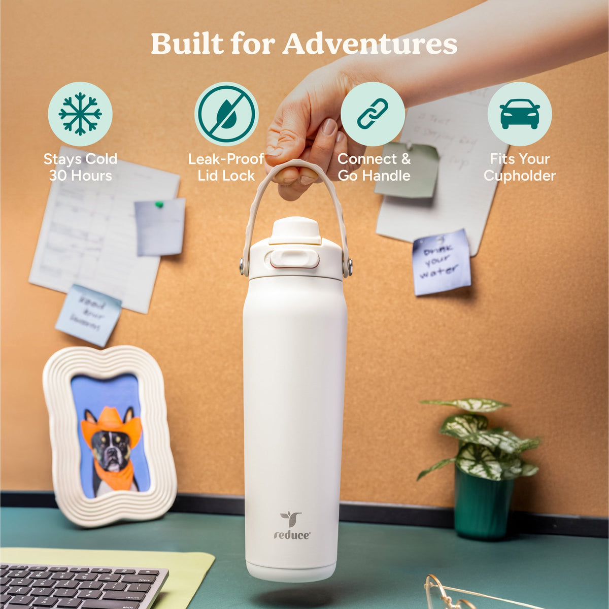 aura-26-oz-b4 Aura_26oz_LilacBud_PDP_Infographic_1-23.jpg