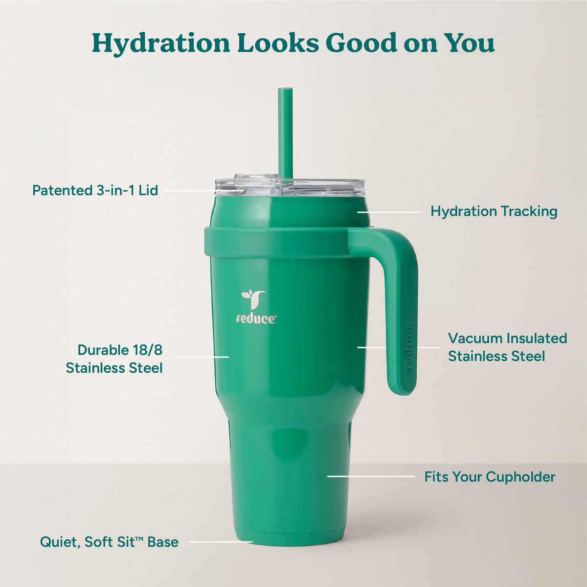 cold1-40-oz-q7 Cold1_40oz_PalmLeaf_Infographic_2.jpg