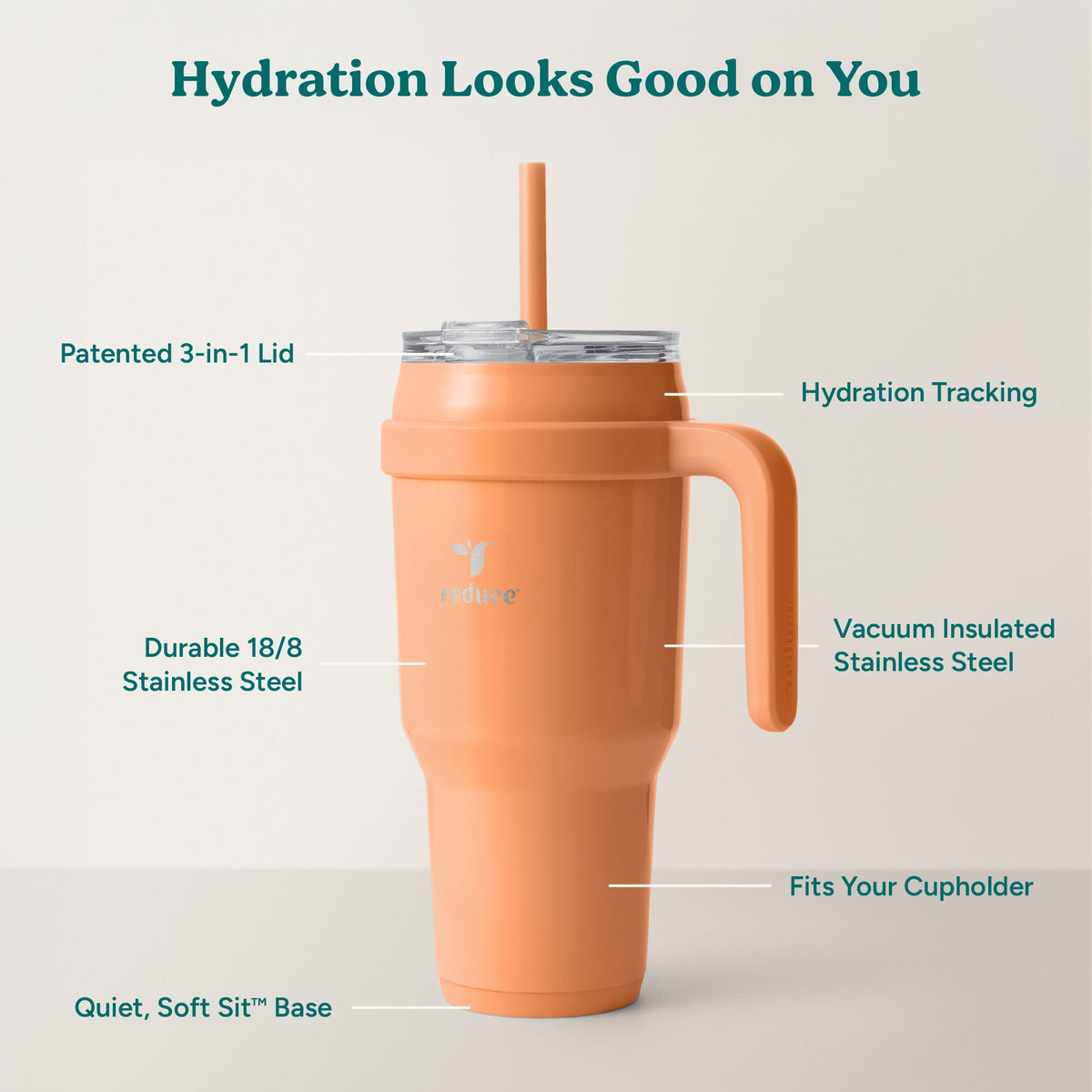 cold1-40-oz-q7 Cold1_40oz_Papaya_Infographic_2.jpg